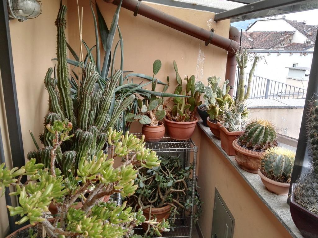 Bed and Breakfast A Casa Di Gio Turin Exterior foto