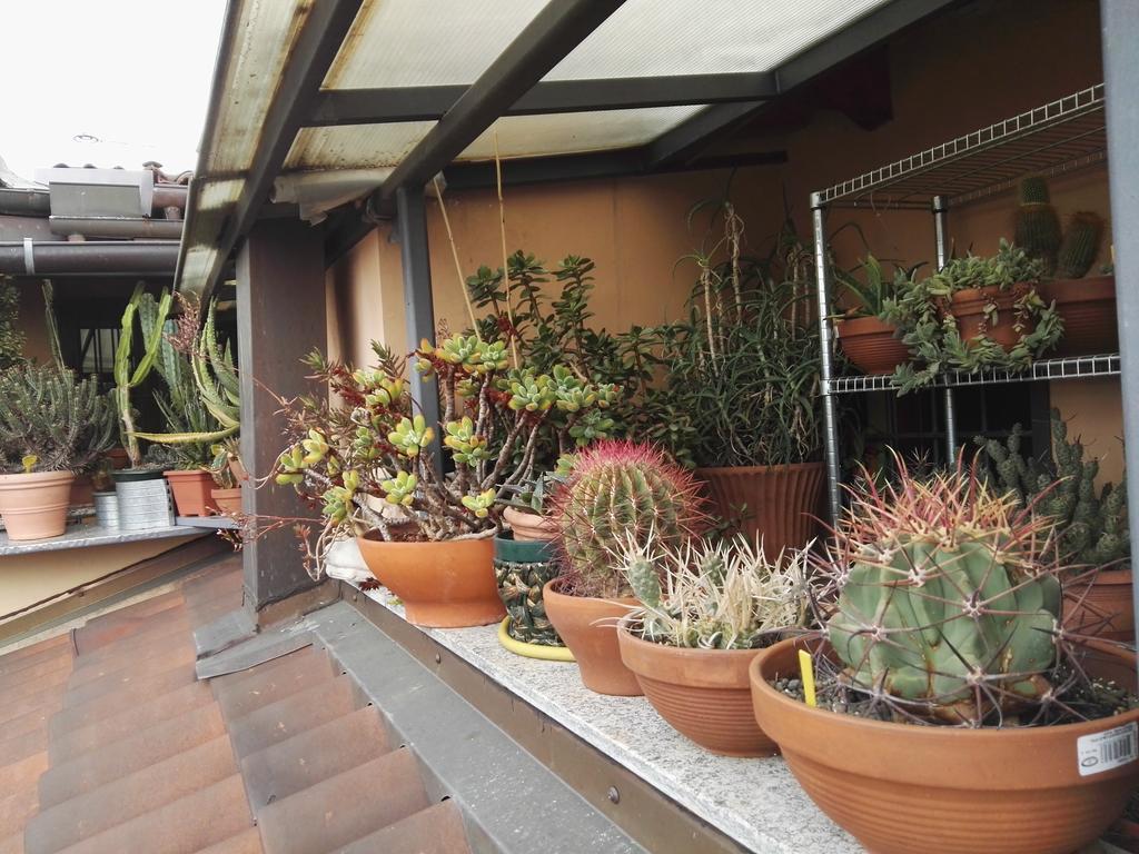 Bed and Breakfast A Casa Di Gio Turin Exterior foto